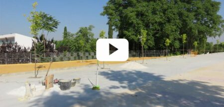 Segunda fase Parque de la Paz