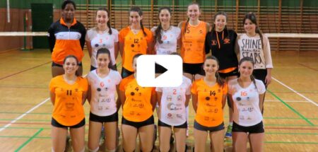 Voleibol