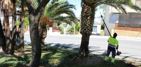 Fiesta de San Isidro