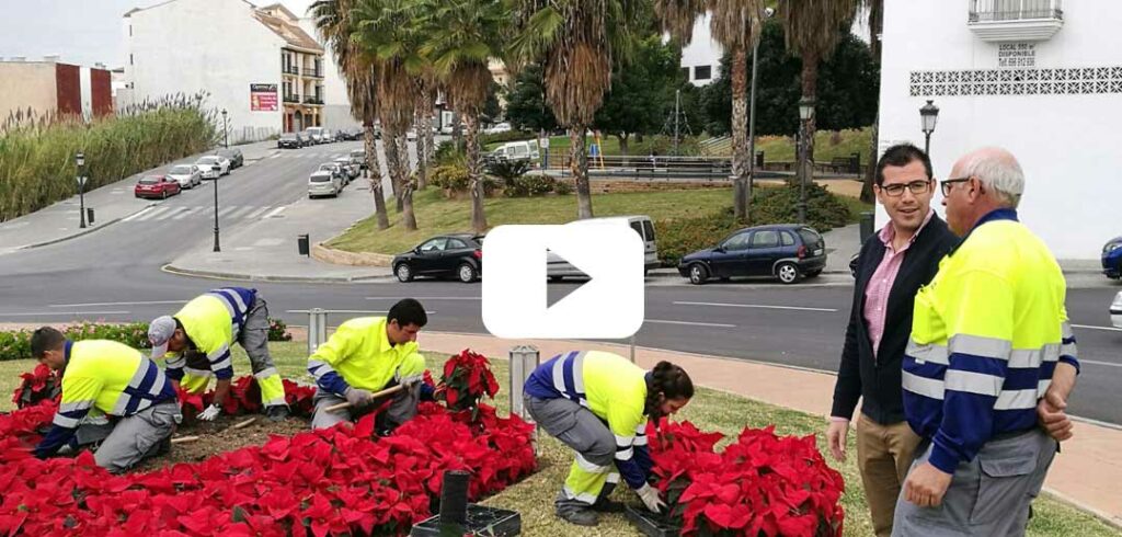 Alhaurín el Grande se prepara para la Navidad con la instalación de pascueros y elementos decorativos