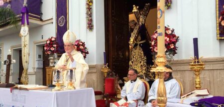 El cardenal Carlos Amigo presidió la Misa de Acción de Gracias del Día de Jesús 2018