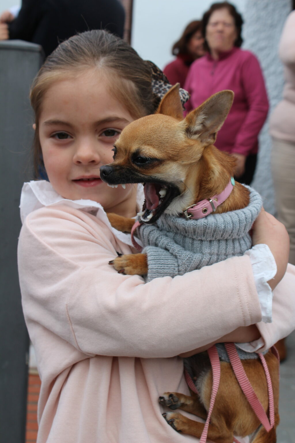 San Antón volvió a convocar a mascotas y a familias enteras durante su festividad