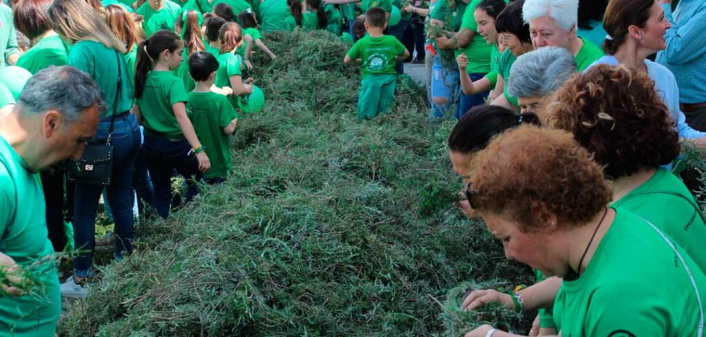 Día de la Cruz 2019: actos del 1 de mayo