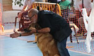 Competición de Obediencia Canina en Villa del Guadalhorce