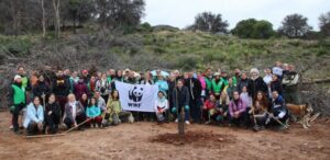 Reforestación de la sierra en Alhaurín el Grande (2025) | Jornada coordinada por Ayuntamiento y WWF