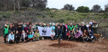 Reforestación de la sierra en Alhaurín el Grande (2025) | Jornada coordinada por Ayuntamiento y WWF