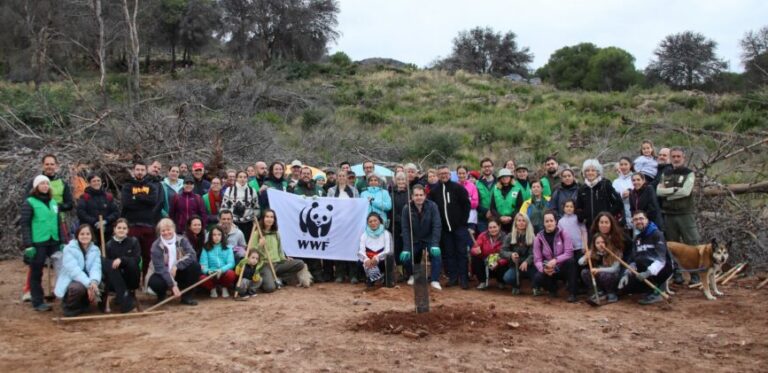 Reforestación de la sierra en Alhaurín el Grande (2025) | Jornada coordinada por Ayuntamiento y WWF