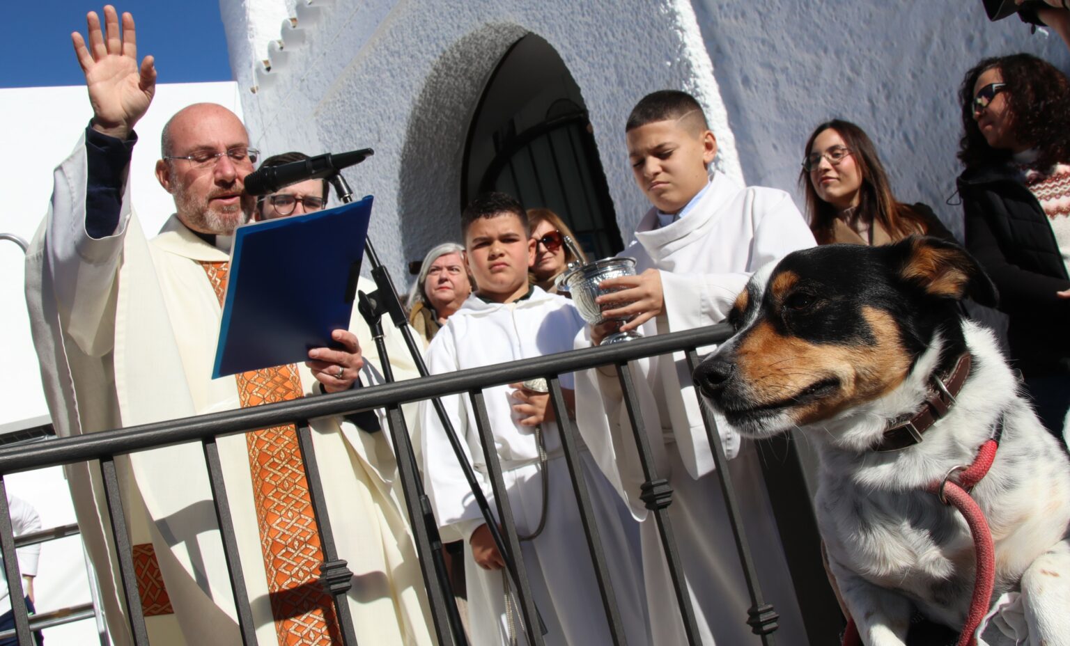 San Antón 2026 en la barriada de El Chorro