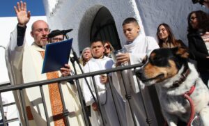 San Antón 2026 en la barriada de El Chorro