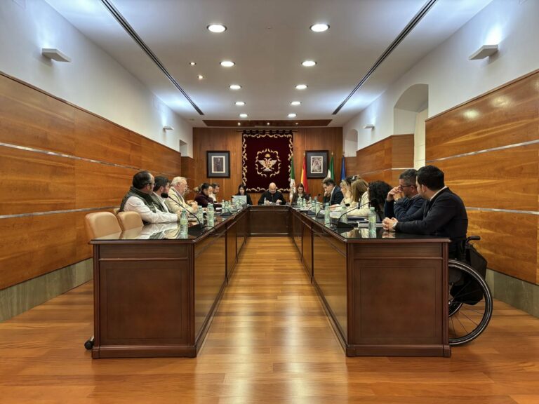Pleno ordinario del mes de marzo de 2026 del Ayuntamiento de Alhaurín el Grande