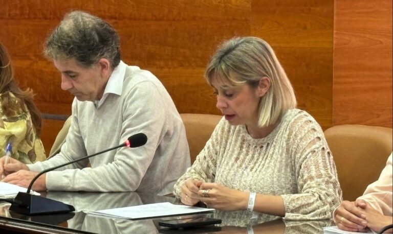 Pleno extraordinario celebrado el mes de mayo de 2026 del Ayuntamiento de Alhaurín el Grande