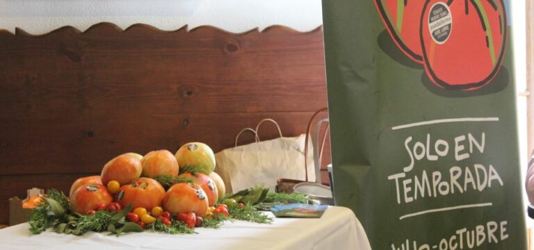 Presentación de la Ruta Gastronómica Tomate Huevo Toro 2026