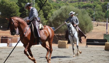 Misa Romera y Espectáculo Ecuestre Romería 2026